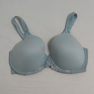 Olga's Blue Bra